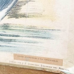 skoleplakat med motiv av rev og ulv