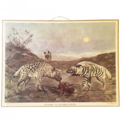 Ekte gammeldags skoleplansje