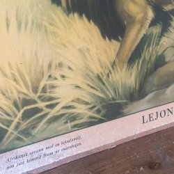 gammeldags skoleplansje