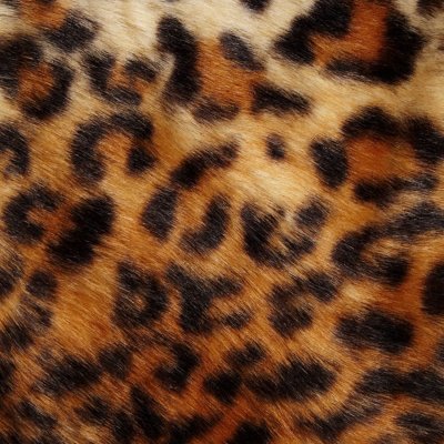 Leopard Kappa, Loretta Coat Harlem