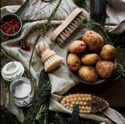 børste Rotgrønnsaks