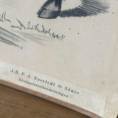 Ekte gammeldags skoleplakat