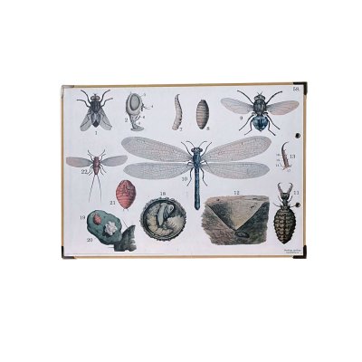 gammeldags skoleplansje