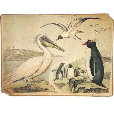 skoleplansje gammeldags